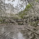 北京旅游 缩略图 6