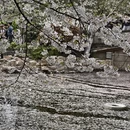 北京旅游 缩略图 8