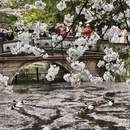 北京旅游 缩略图 9