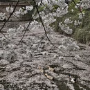 北京旅游 缩略图 10