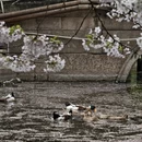北京旅游 缩略图 16