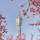 郑州旅游 缩略图 1