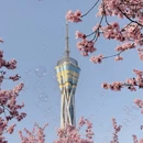 郑州旅游 缩略图 2