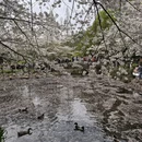 北京旅游 缩略图 7