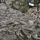 北京旅游 缩略图 11