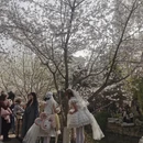 北京旅游 缩略图 1