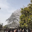 北京旅游 缩略图 2
