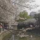 北京旅游 缩略图 3