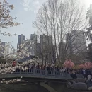 北京旅游 缩略图 4