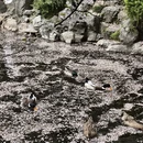 北京旅游 缩略图 13