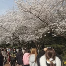 北京旅游 缩略图 5