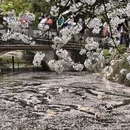 北京旅游 缩略图 15