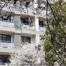 绍兴旅游 缩略图 5