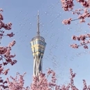 郑州旅游 缩略图 3