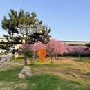 郑州旅游 缩略图 12