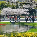 绍兴旅游 缩略图 1