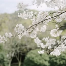 绍兴旅游 缩略图 10