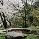 绍兴旅游 缩略图 11