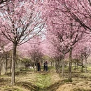 合肥旅游 缩略图 3