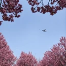 合肥旅游 缩略图 4