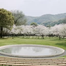 绍兴旅游 缩略图 5