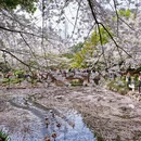 北京旅游 缩略图 18