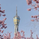 郑州旅游 缩略图 4
