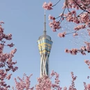 郑州旅游 缩略图 5
