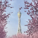 郑州旅游 缩略图 6