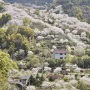 绍兴旅游 缩略图 2