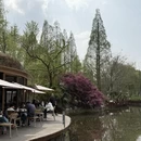 合肥旅游 缩略图 2