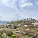 绍兴旅游 缩略图 5
