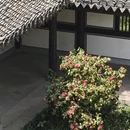 绍兴旅游 缩略图 2