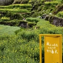 绍兴旅游 缩略图 1