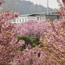 合肥旅游 缩略图 14
