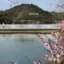 绍兴旅游 缩略图 10