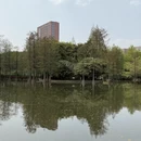 合肥旅游 缩略图 5