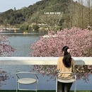 绍兴旅游 缩略图 7
