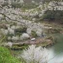 绍兴旅游 缩略图 7