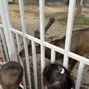 绍兴旅游 缩略图 13