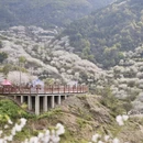 绍兴旅游 缩略图 9