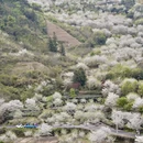 绍兴旅游 缩略图 10