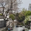 绍兴旅游 缩略图 8