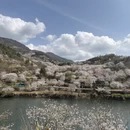 绍兴旅游 缩略图 6