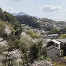 绍兴旅游 缩略图 7