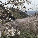 绍兴旅游 缩略图 8