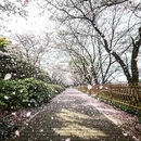 南昌旅游 缩略图 1