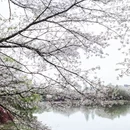 南昌旅游 缩略图 3