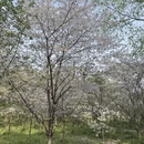 合肥旅游 缩略图 10