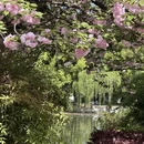 合肥旅游 缩略图 5